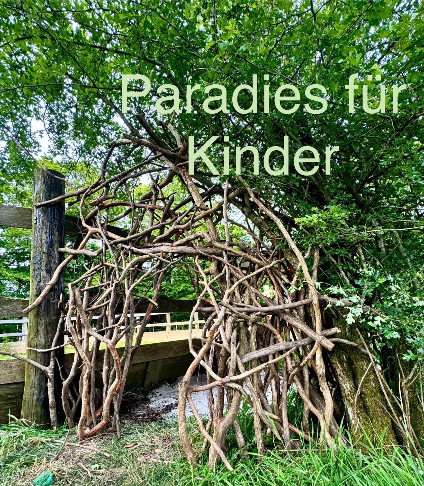 Hof Vierzehnender Im Hohen Venn - 70Qm Maisonette - 2 Schlafzimmer - Wohnkueche - Balkon Mit Grill - Monschau - Eifel - Hunde Willkommen - Islandpferde 외부 사진