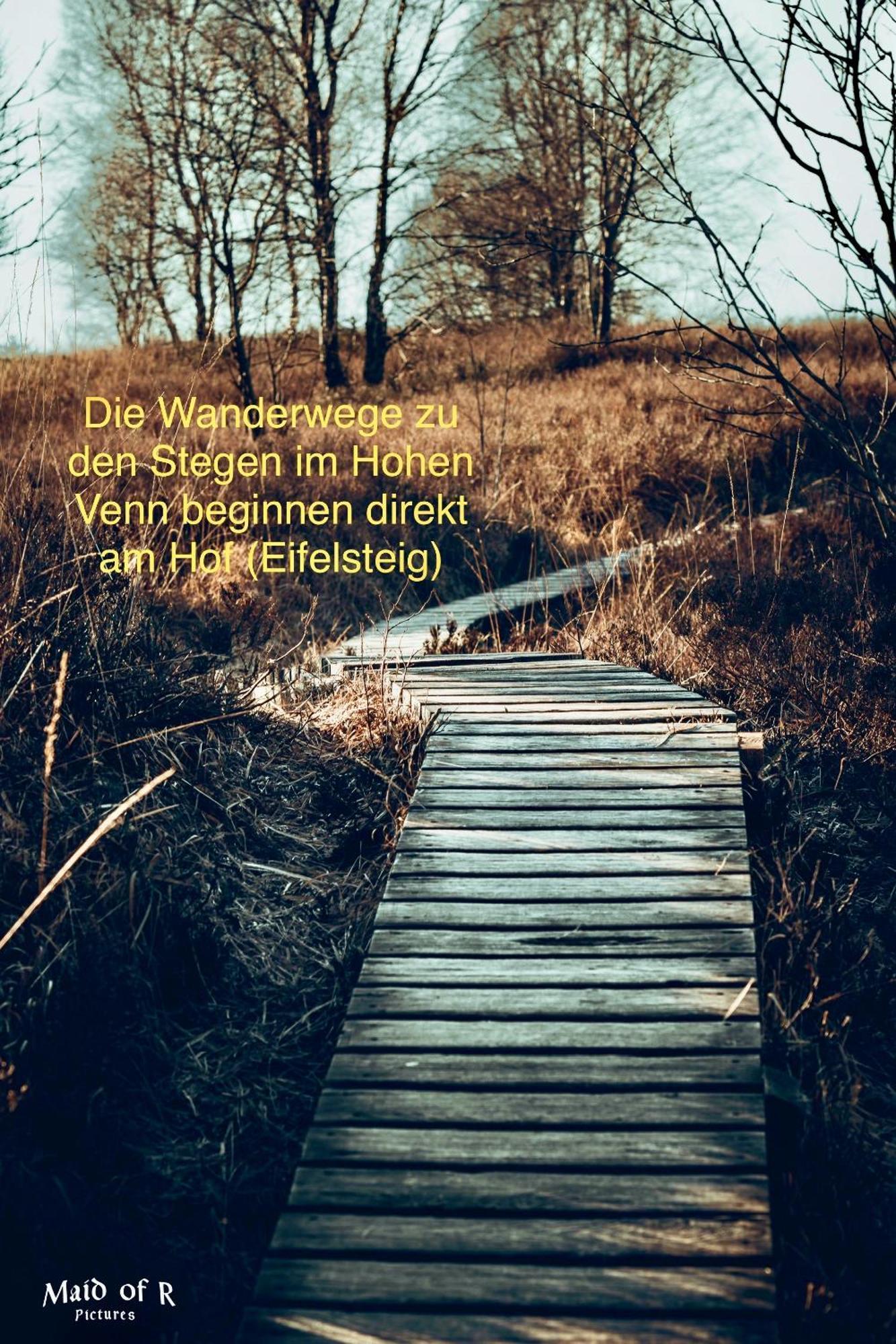 Hof Vierzehnender Im Hohen Venn - 70Qm Maisonette - 2 Schlafzimmer - Wohnkueche - Balkon Mit Grill - Monschau - Eifel - Hunde Willkommen - Islandpferde 외부 사진