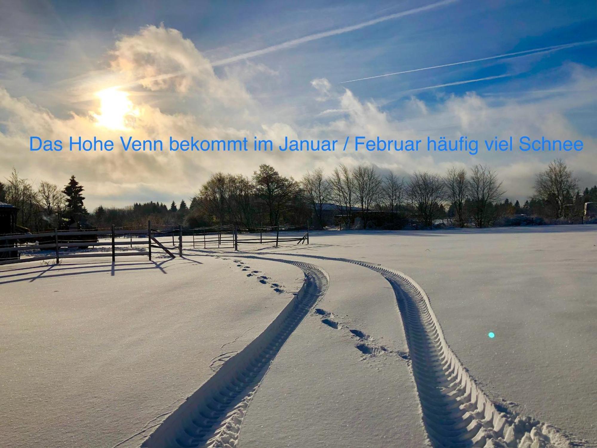 Hof Vierzehnender Im Hohen Venn - 70Qm Maisonette - 2 Schlafzimmer - Wohnkueche - Balkon Mit Grill - Monschau - Eifel - Hunde Willkommen - Islandpferde 외부 사진